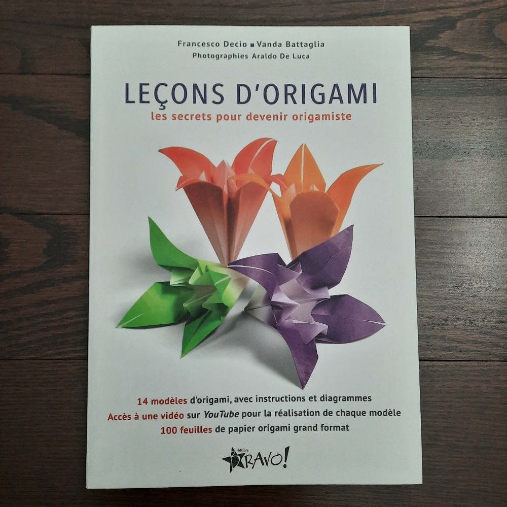 French Book: Leçons d'Origami